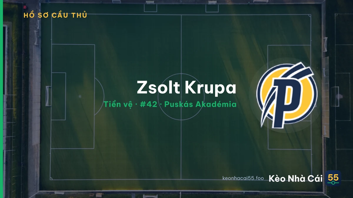 Zsolt Krupa — Puskás Akadémia