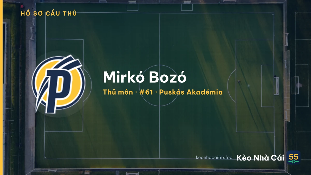 Mirkó Bozó — Puskás Akadémia