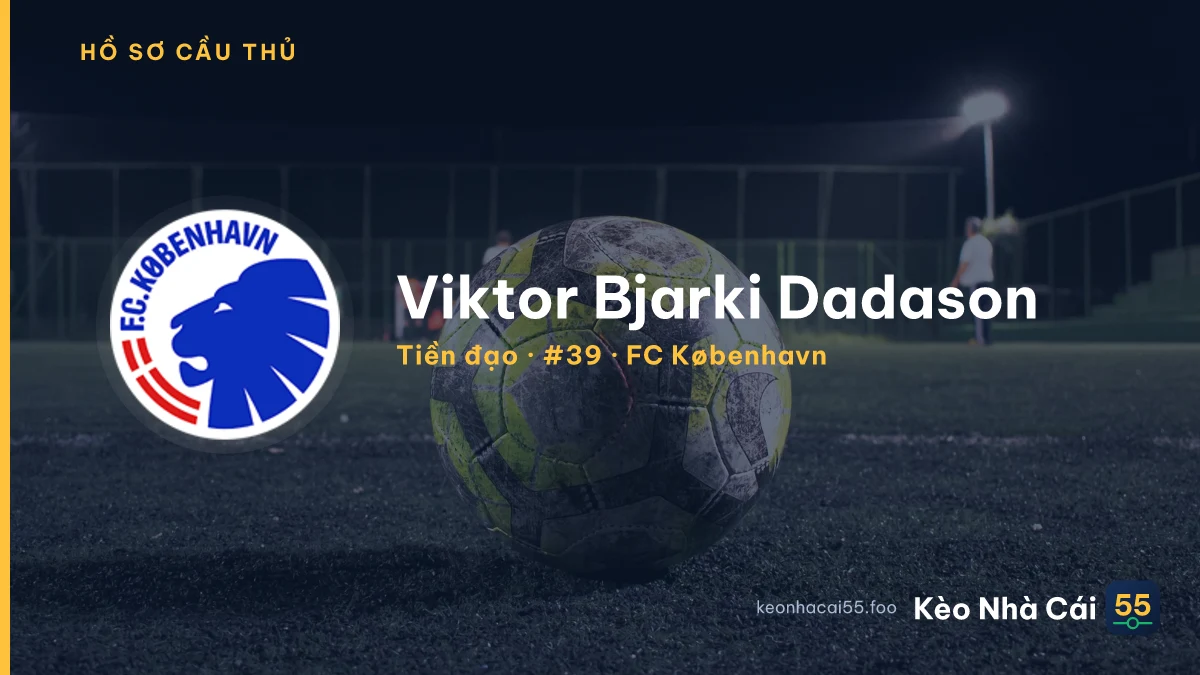 Viktor Bjarki Dadason — FC København