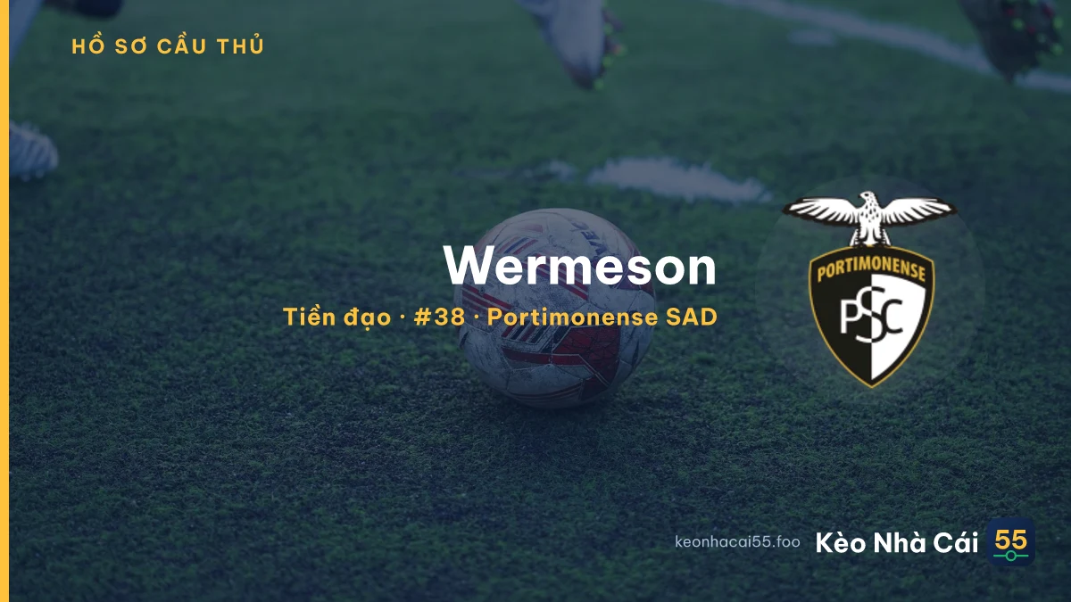 Wermeson — Portimonense SAD