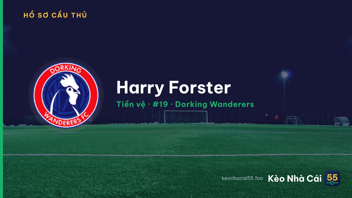 Harry Forster — Dorking Wanderers