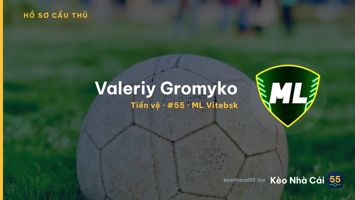 Valeriy Gromyko — ML Vitebsk