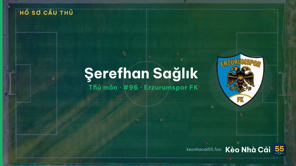 Şerefhan Sağlık — Erzurumspor FK