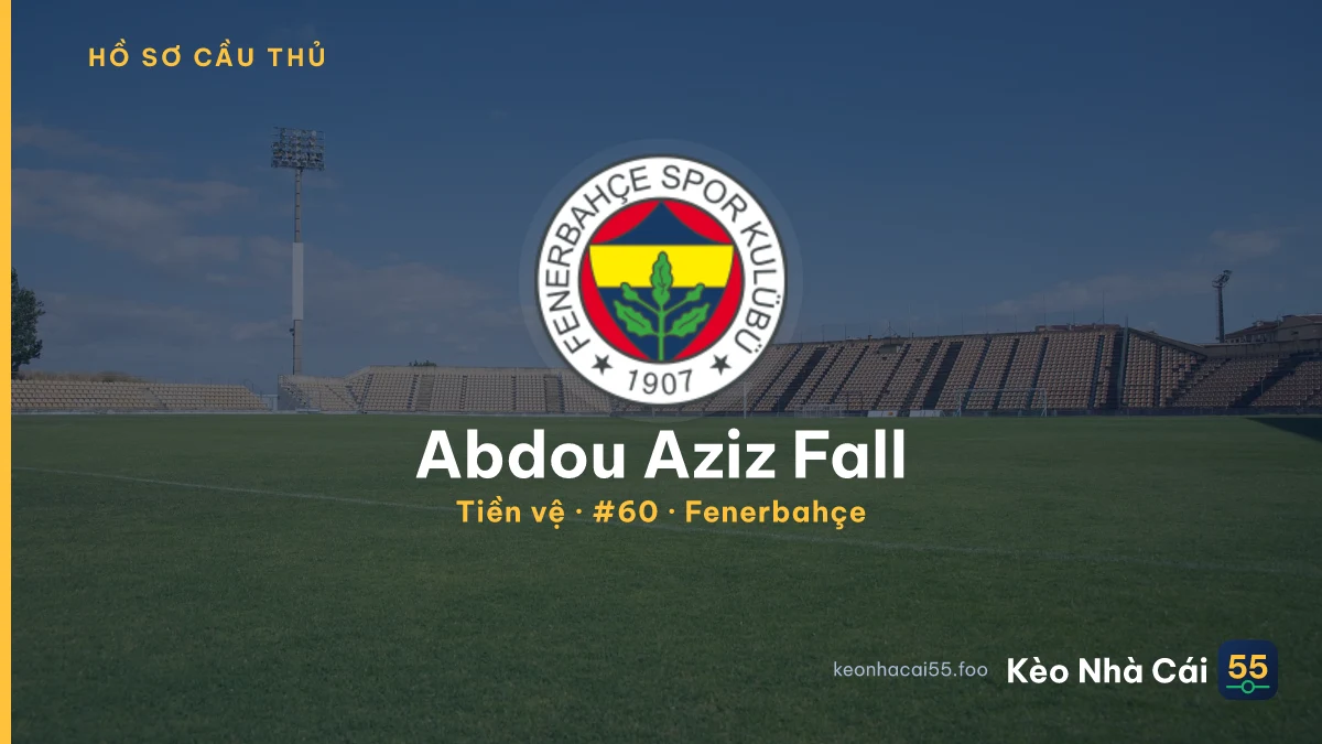 Abdou Aziz Fall — Fenerbahçe