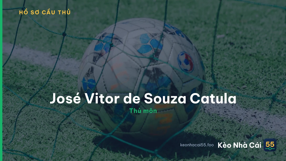 José Vitor  de Souza Catula