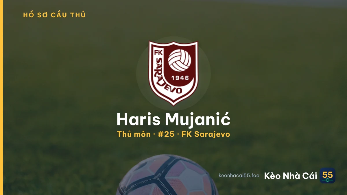 Haris Mujanić — FK Sarajevo