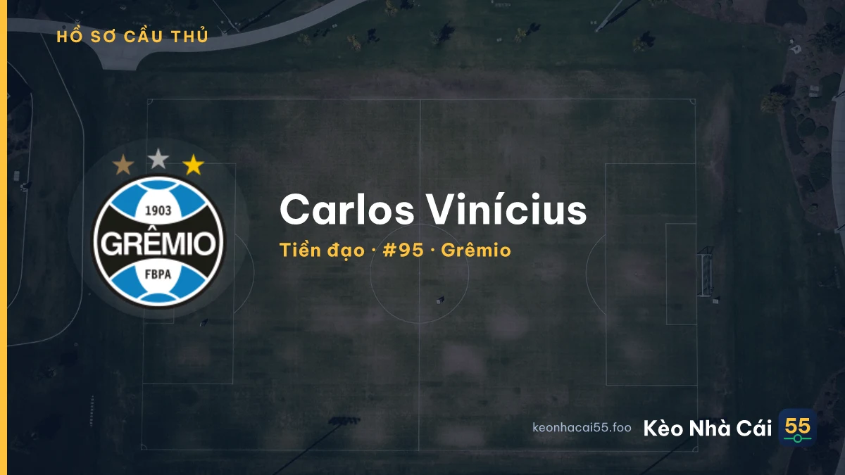 Carlos Vinícius — Grêmio