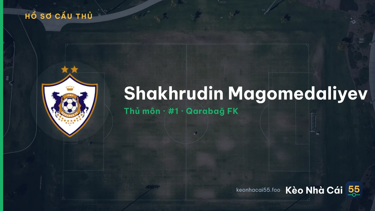 Shakhrudin Magomedaliyev — Qarabağ FK