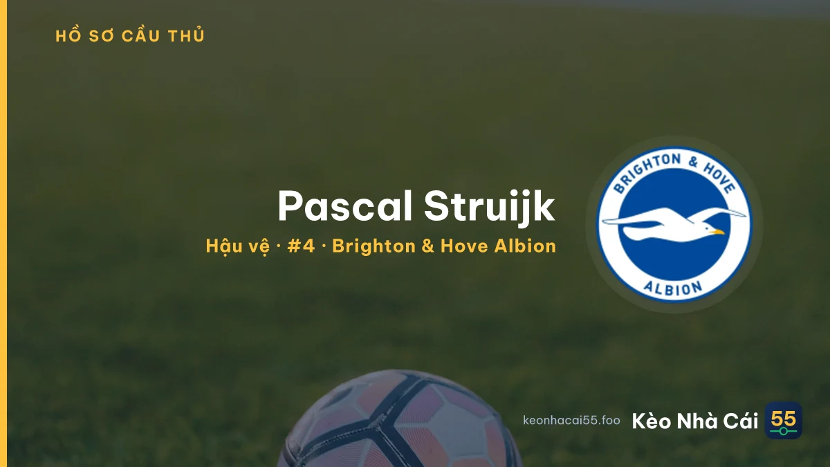 Pascal Struijk — Brighton & Hove Albion