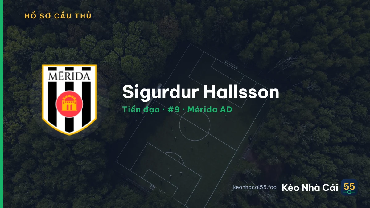Sigurdur Hallsson — Mérida AD