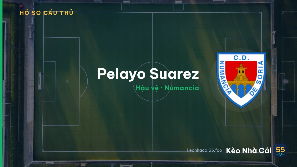 Pelayo Suarez — Numancia