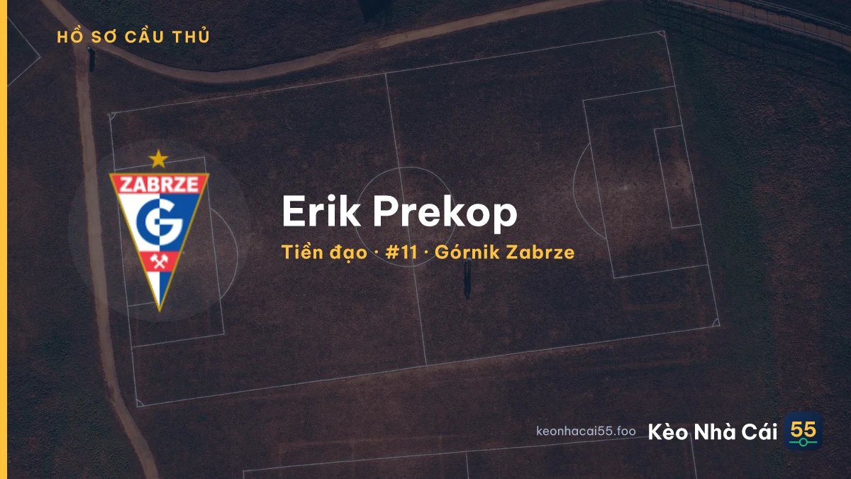 Erik Prekop — Górnik Zabrze