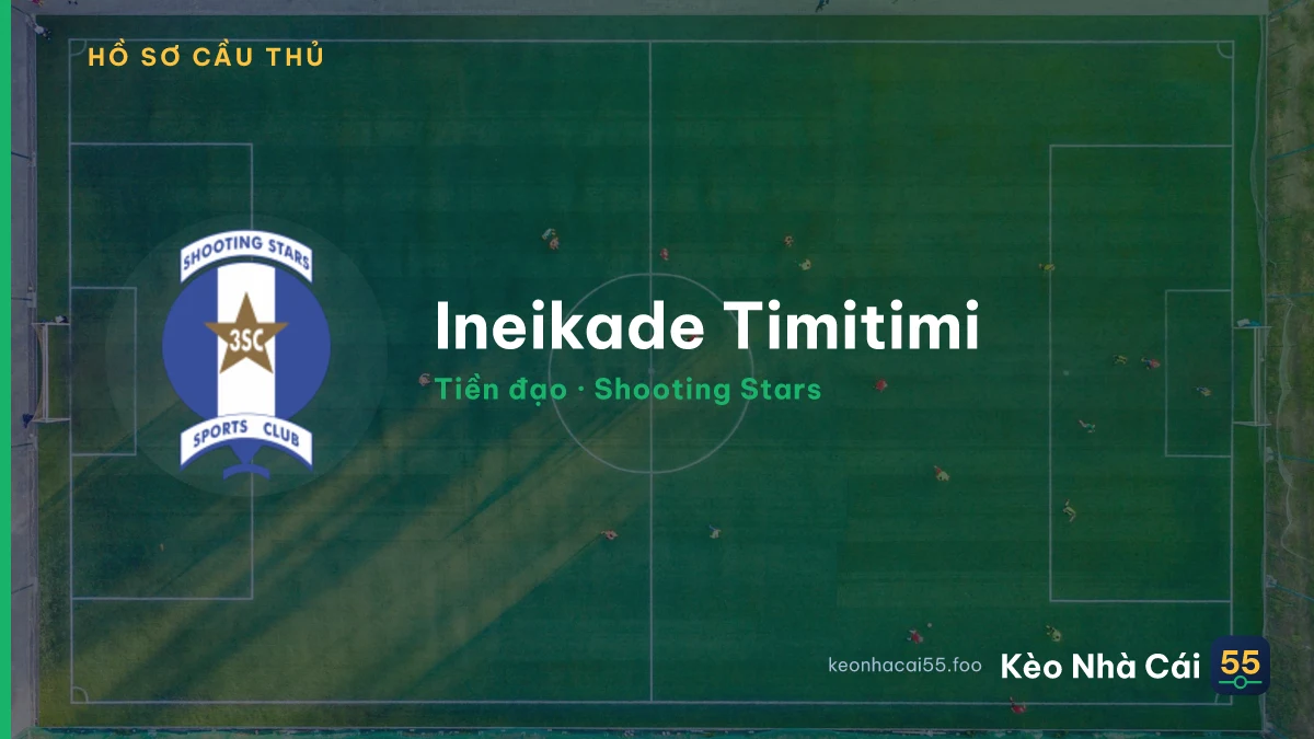 Ineikade Timitimi — Shooting Stars