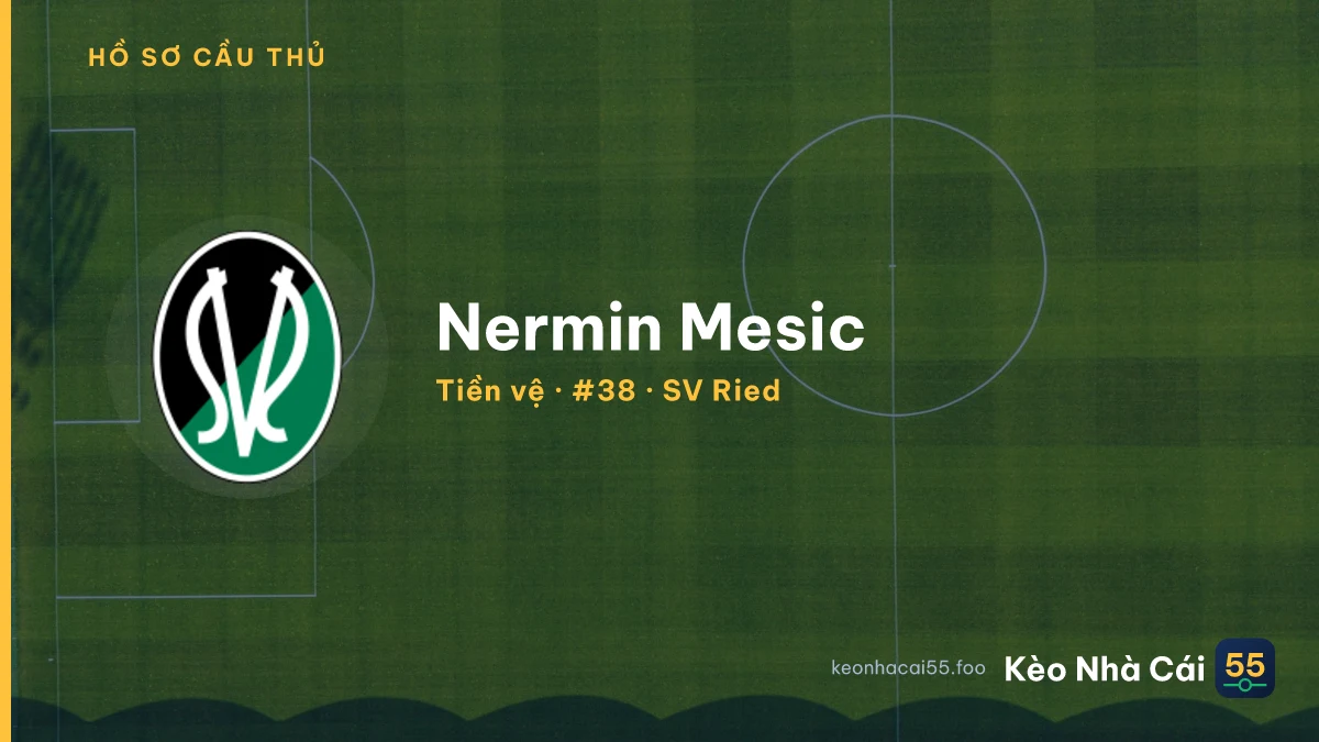 Nermin Mesic — SV Ried
