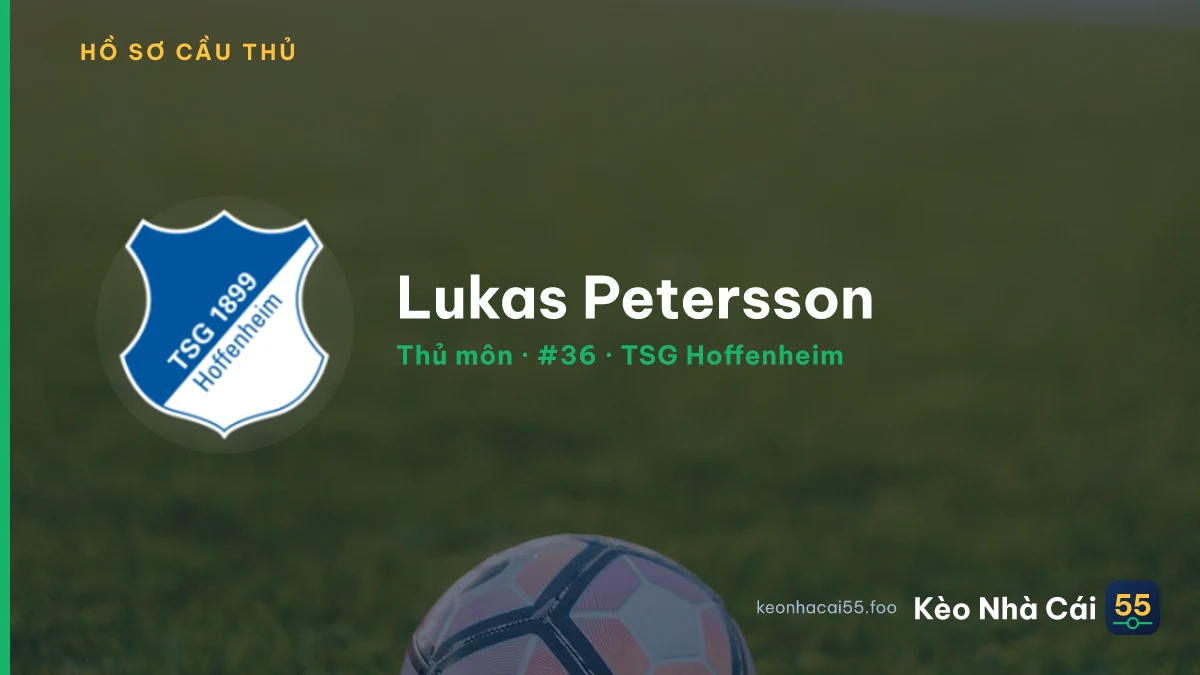 Lukas Petersson — TSG Hoffenheim