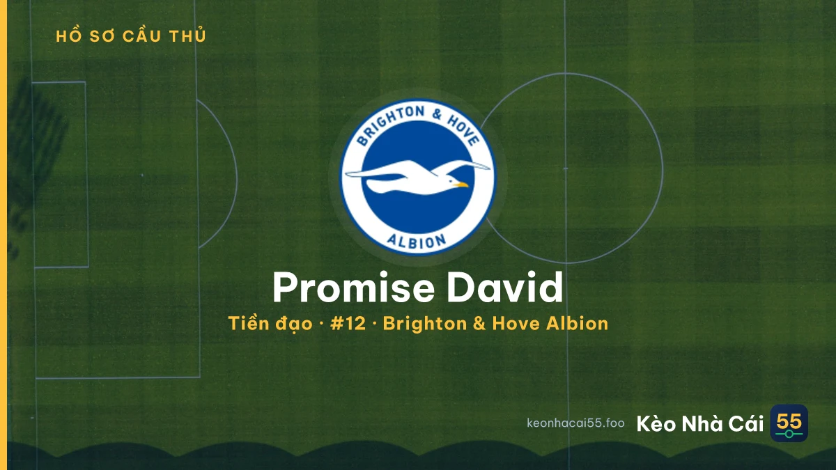 Promise David — Brighton & Hove Albion