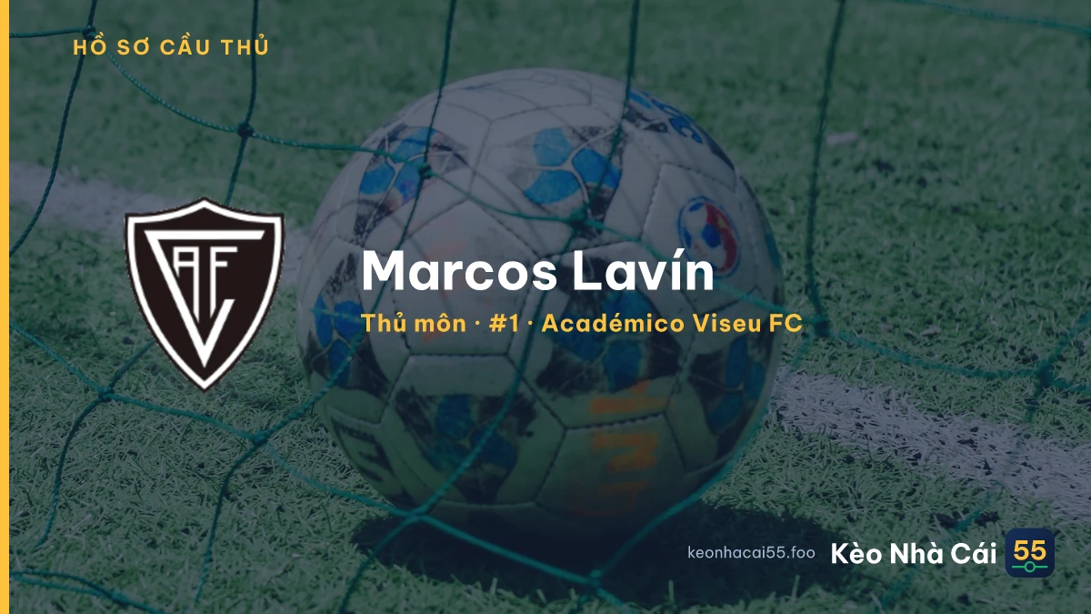 Marcos Lavín — Académico Viseu FC