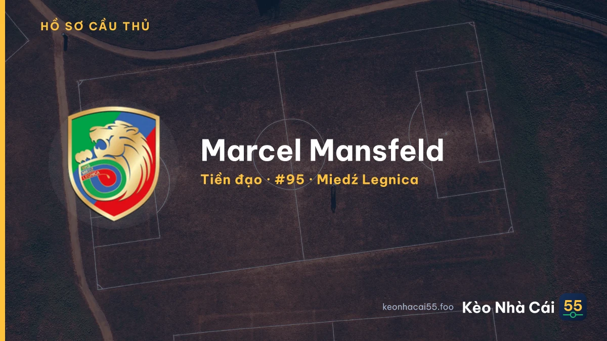 Marcel Mansfeld — Miedź Legnica