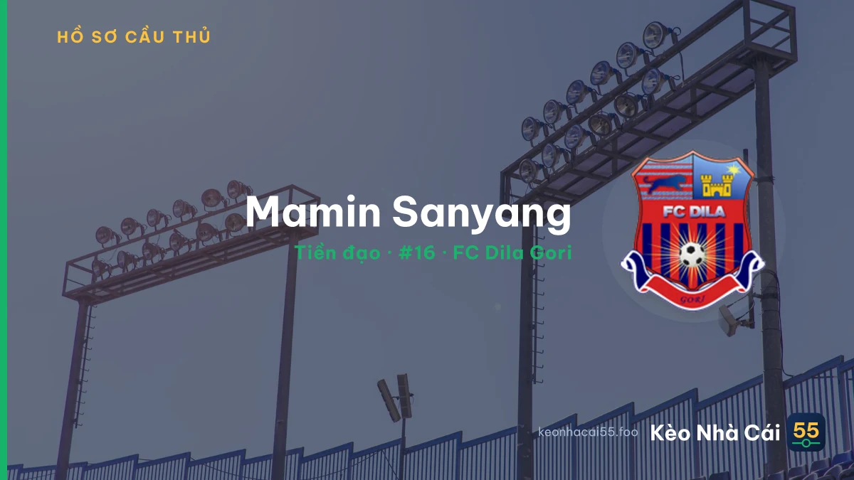 Mamin Sanyang — FC Dila Gori