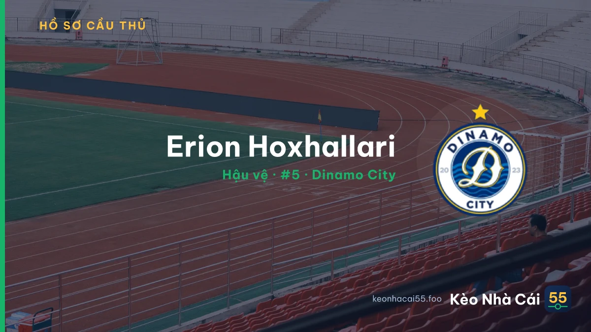 Erion Hoxhallari — Dinamo City