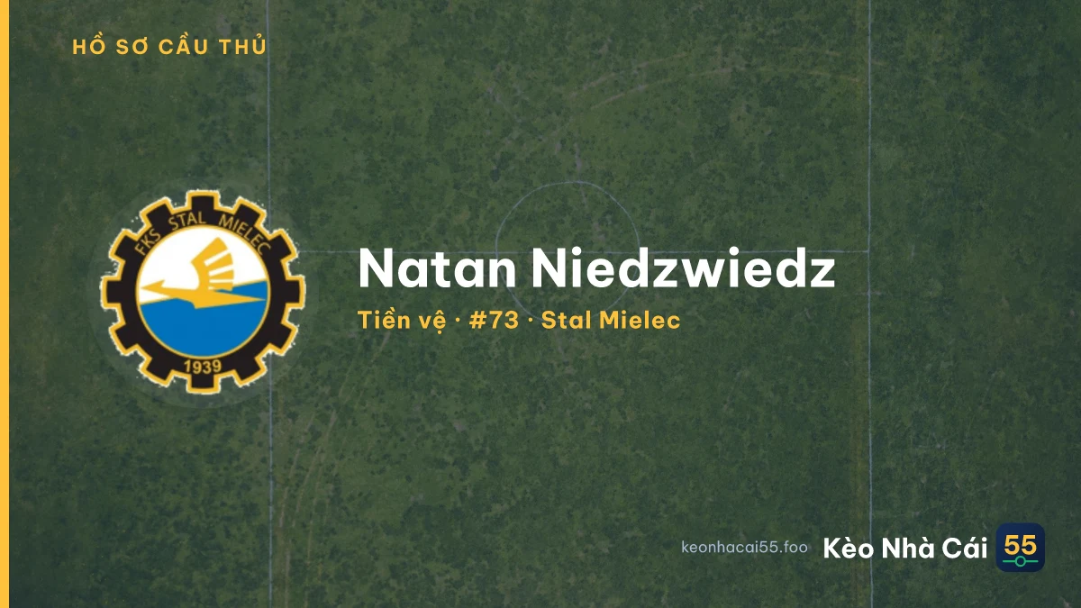 Natan Niedzwiedz — Stal Mielec