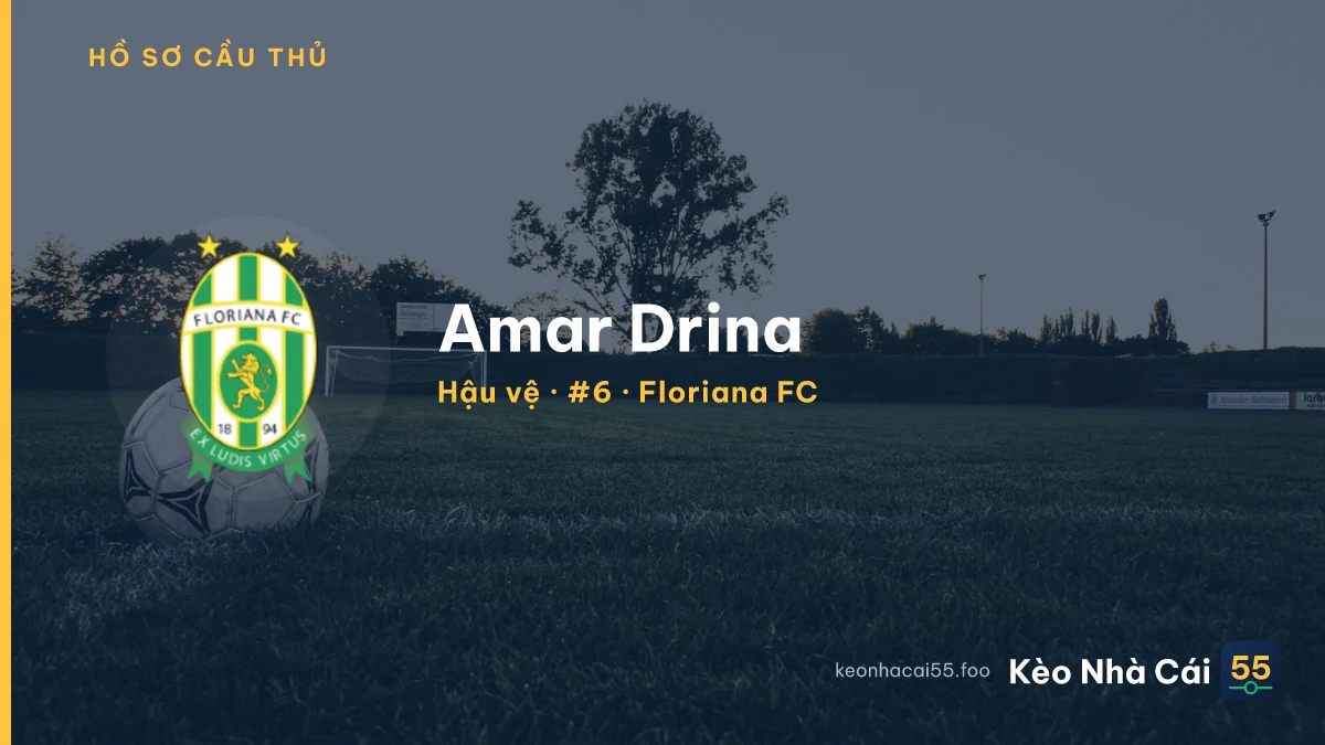 Amar Drina — Floriana FC