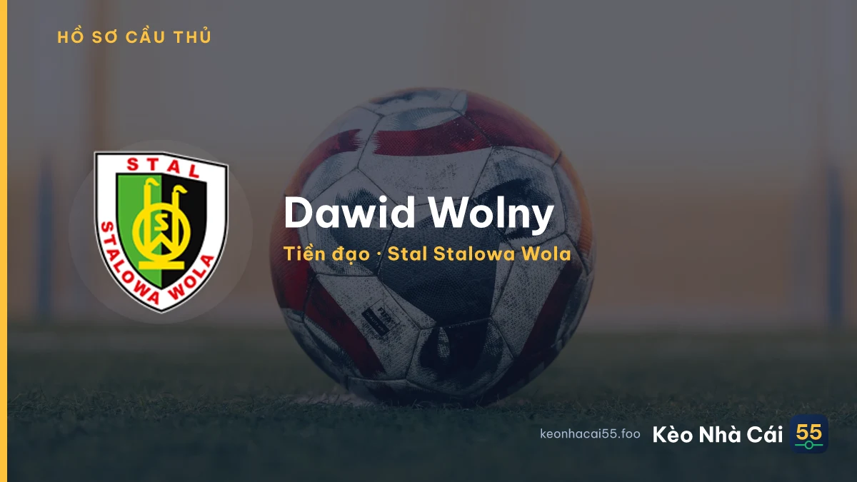 Dawid Wolny — Stal Stalowa Wola