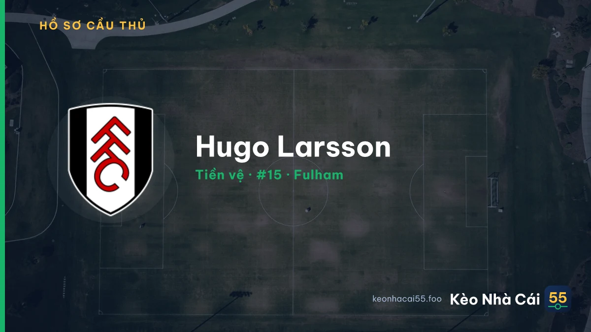 Hugo Larsson — Fulham