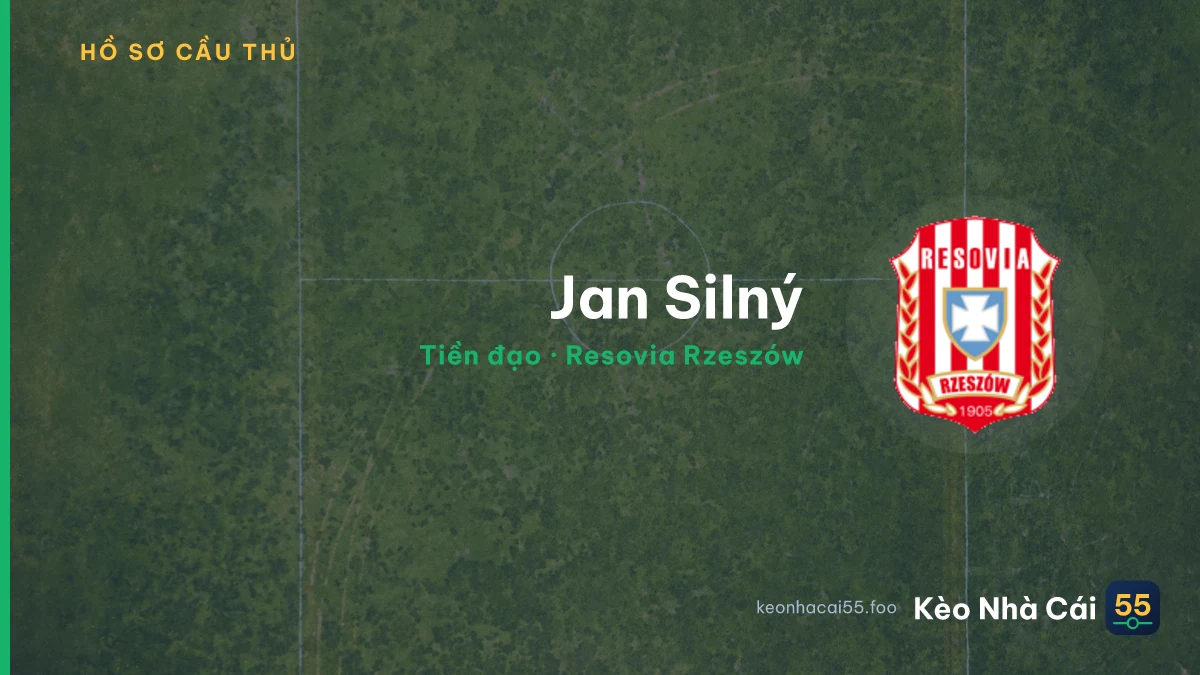 Jan Silný — Resovia Rzeszów