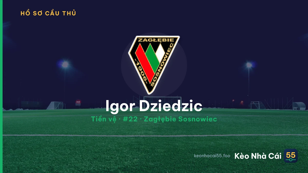 Igor Dziedzic — Zagłębie Sosnowiec