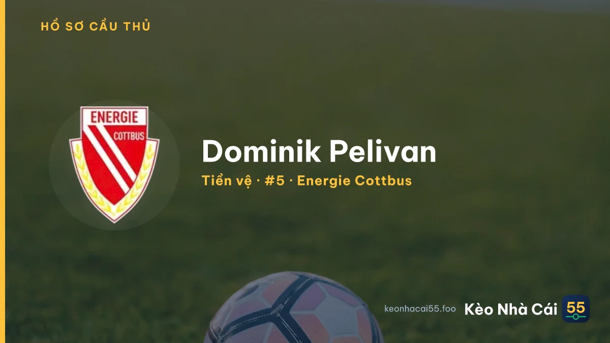 Dominik Pelivan — Energie Cottbus