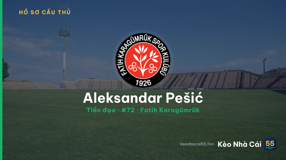 Aleksandar Pešić — Fatih Karagümrük