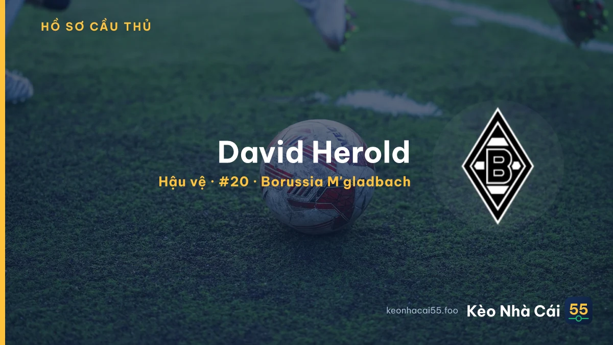 David Herold — Borussia M'gladbach