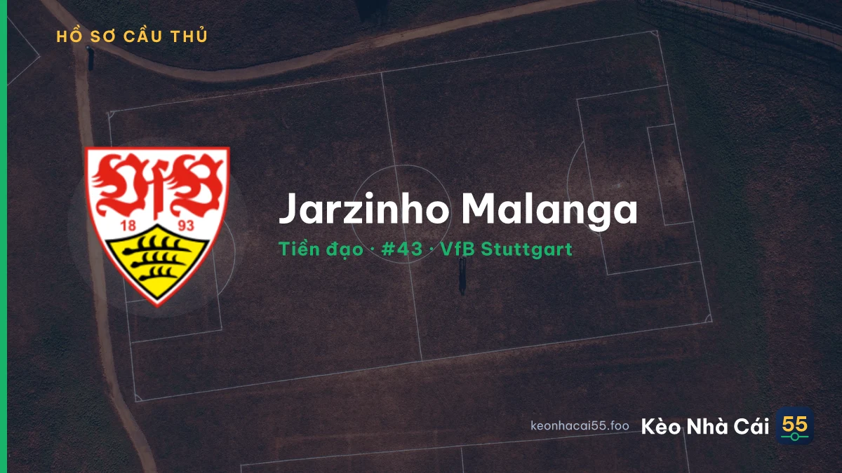 Jarzinho Malanga — VfB Stuttgart