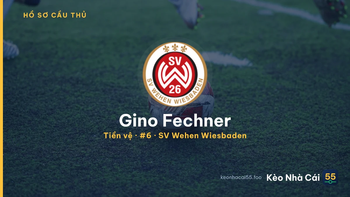 Gino Fechner — SV Wehen Wiesbaden