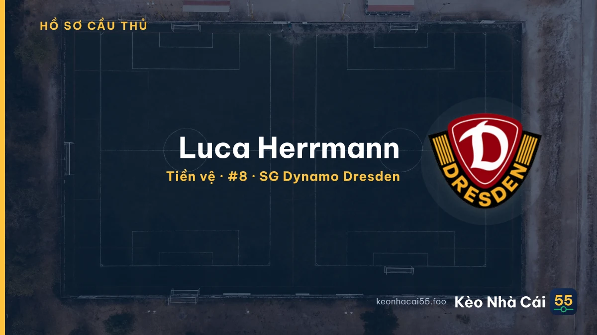 Luca Herrmann — SG Dynamo Dresden