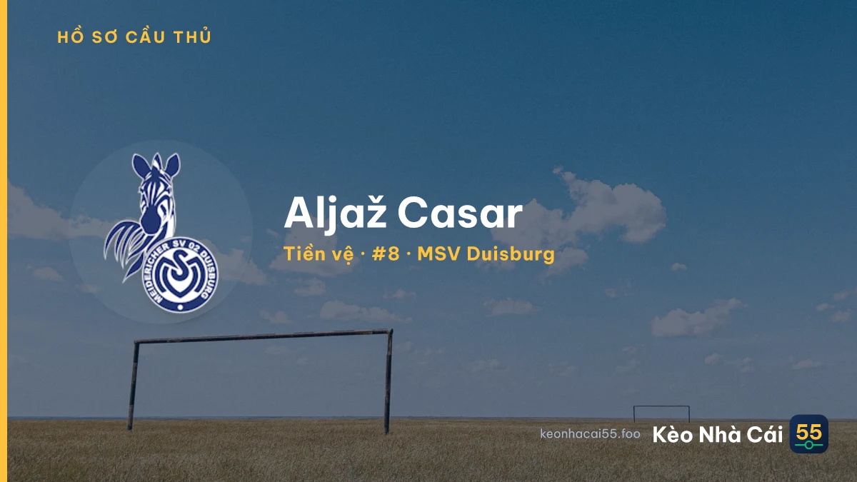 Aljaž Casar — MSV Duisburg