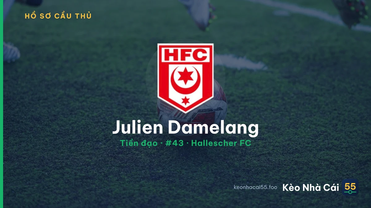 Julien Damelang — Hallescher FC