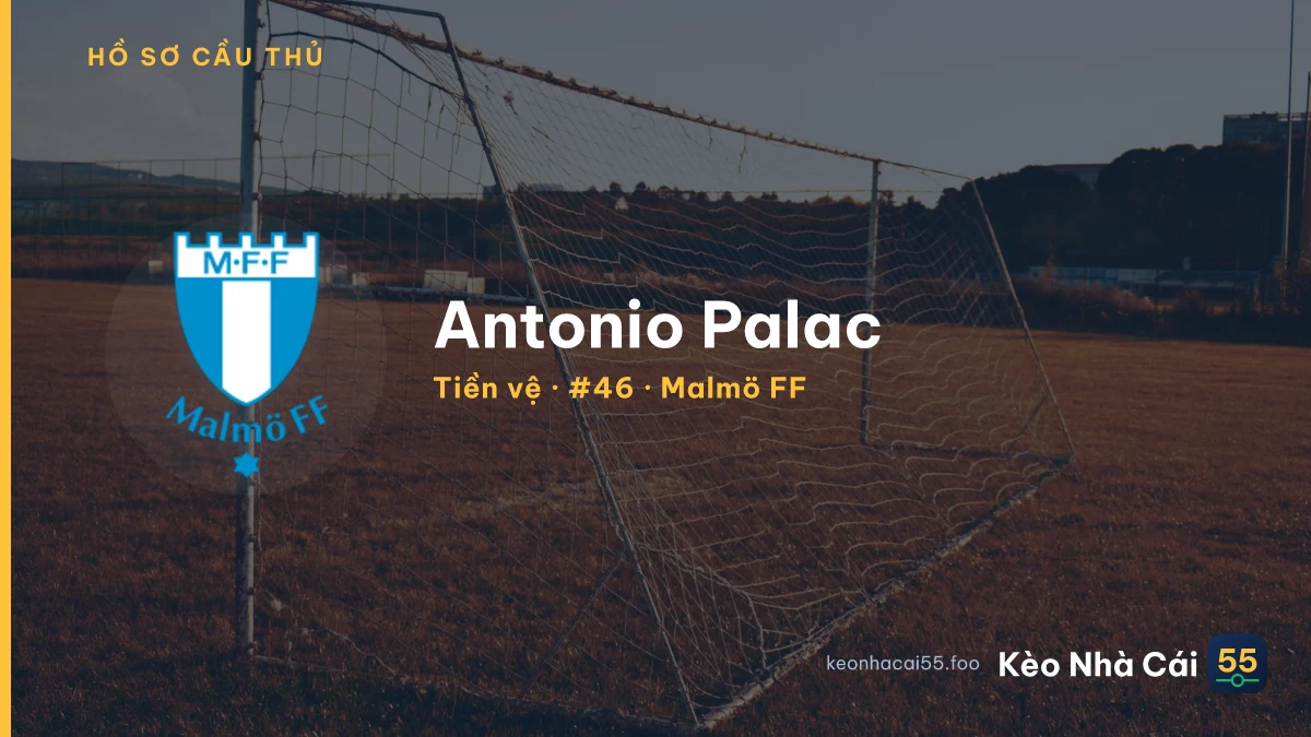 Antonio Palac — Malmö FF