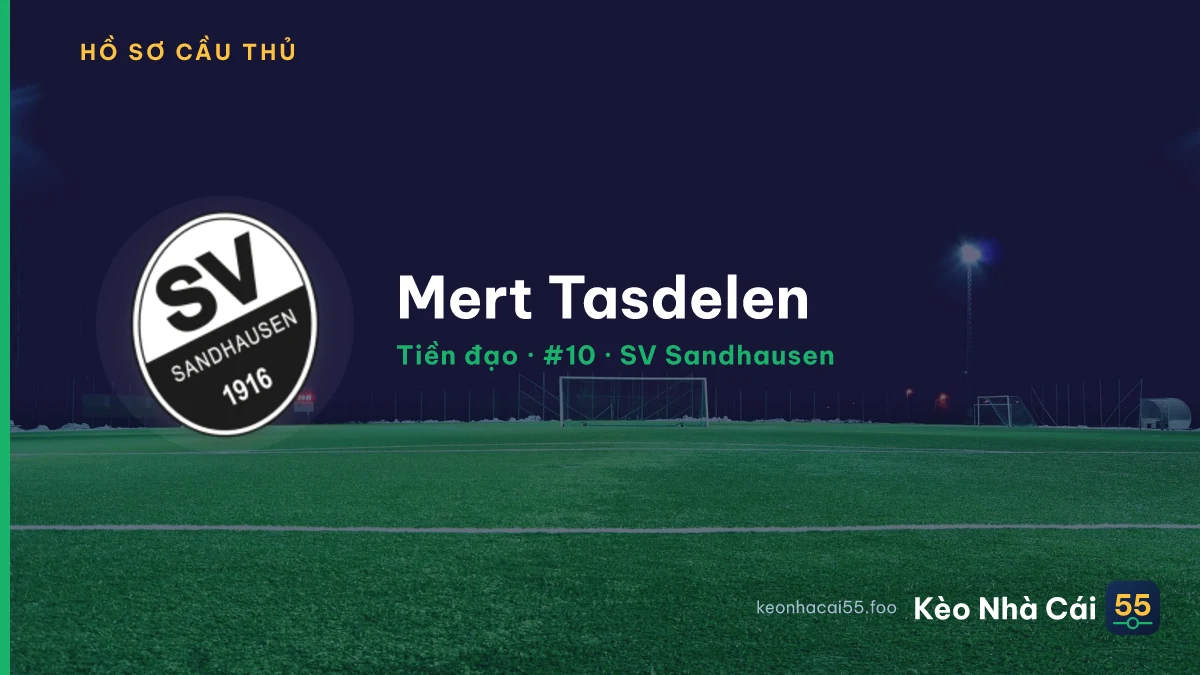 Mert Tasdelen — SV Sandhausen