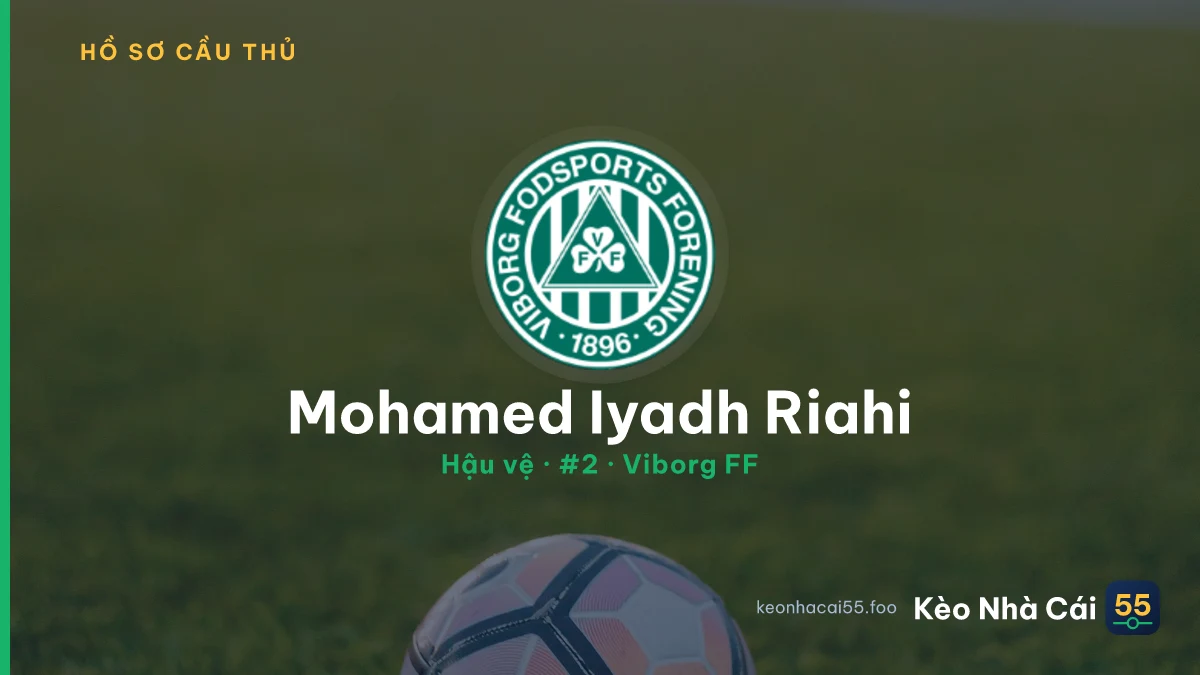 Mohamed Iyadh Riahi — Viborg FF