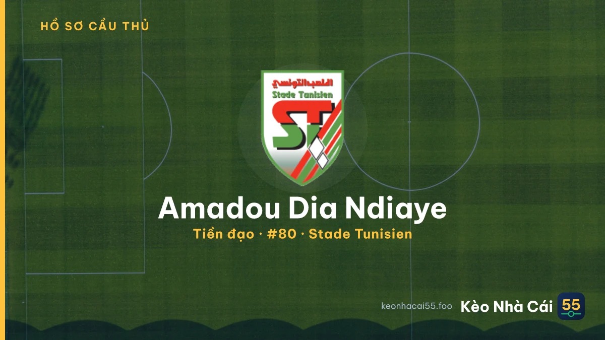 Amadou Dia Ndiaye — Stade Tunisien