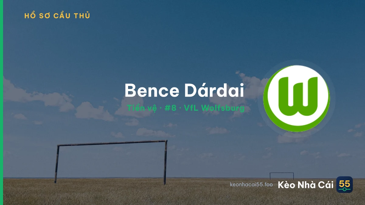 Bence Dárdai — VfL Wolfsburg