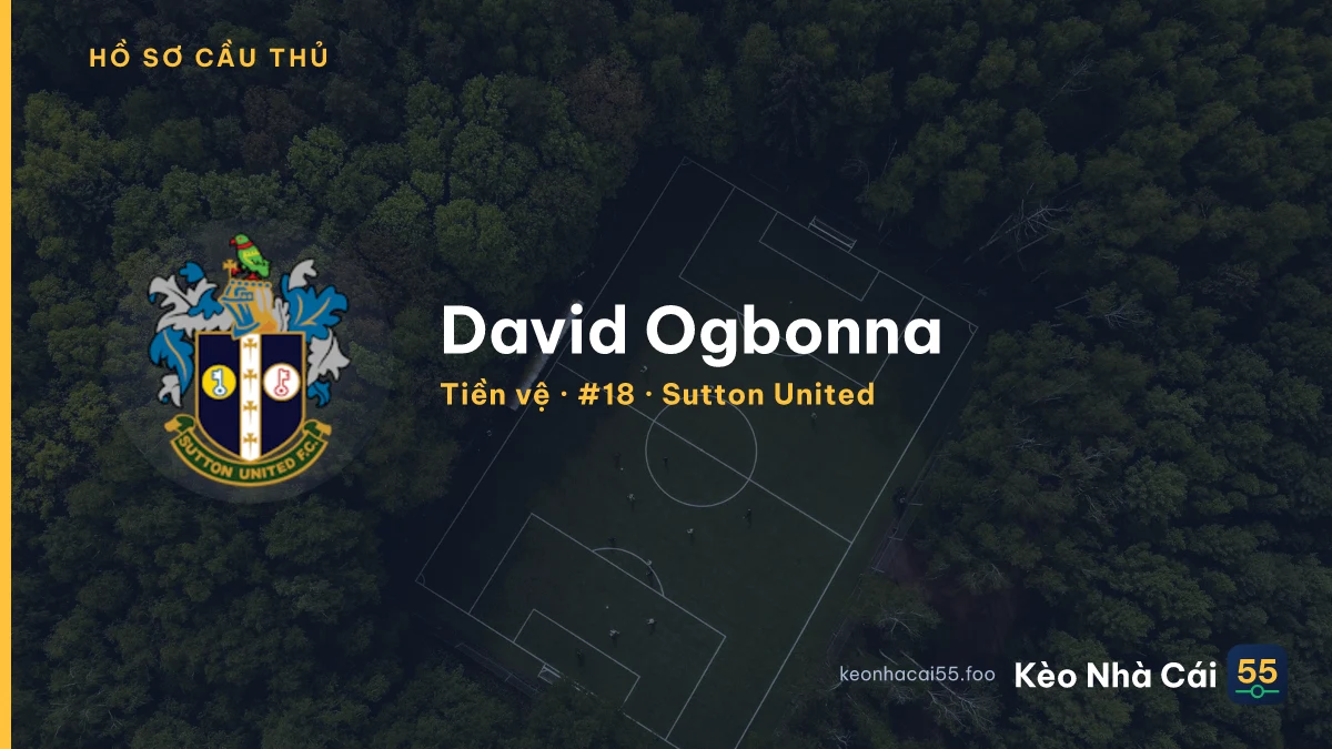 David Ogbonna — Sutton United