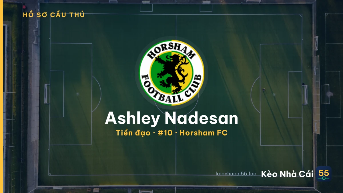 Ashley Nadesan — Horsham FC