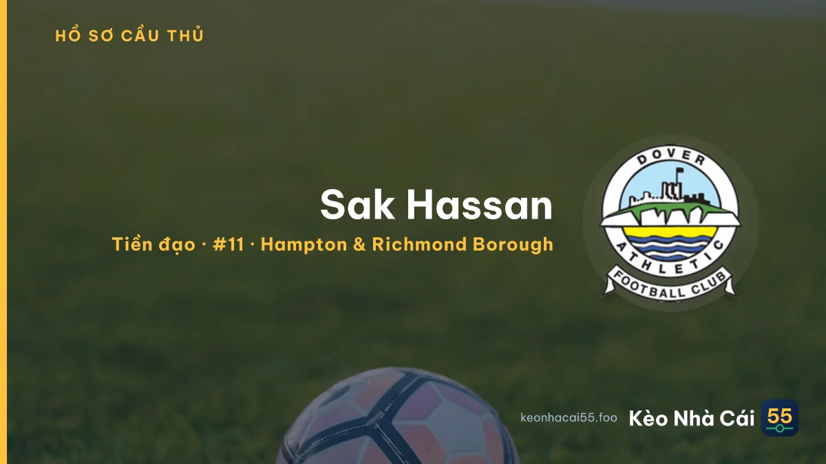 Sak Hassan — Hampton & Richmond Borough