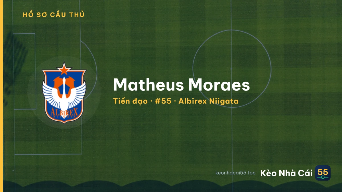 Matheus Moraes — Albirex Niigata