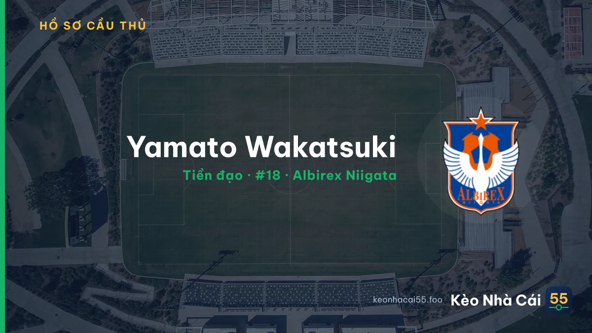Yamato Wakatsuki — Albirex Niigata