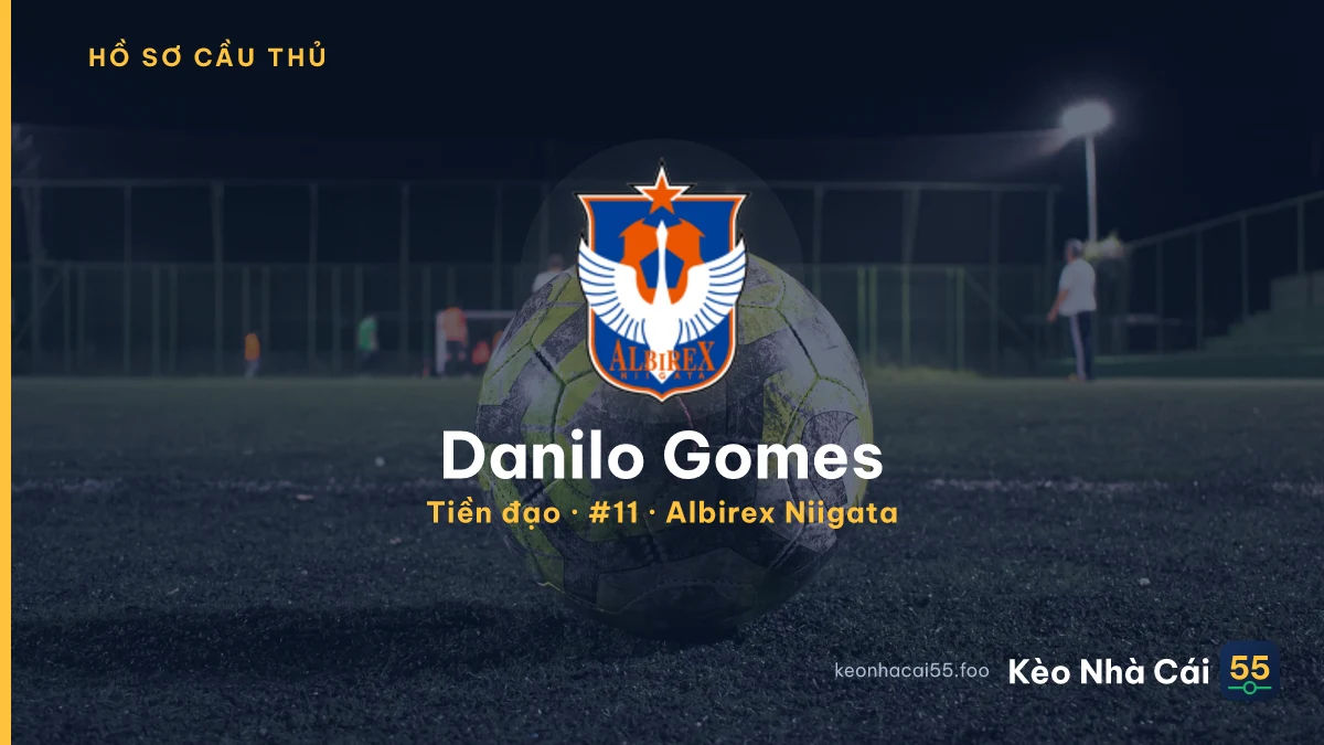 Danilo Gomes — Albirex Niigata