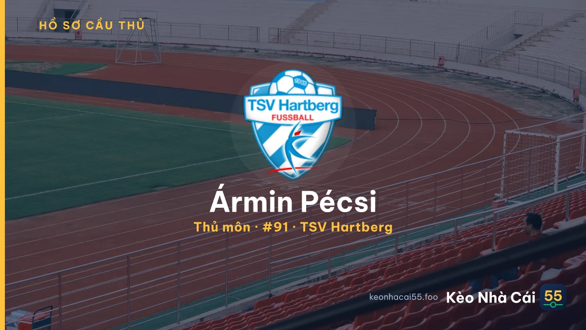 Ármin Pécsi — TSV Hartberg